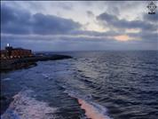 Egypt-Alexandria-Nature-Ra2D