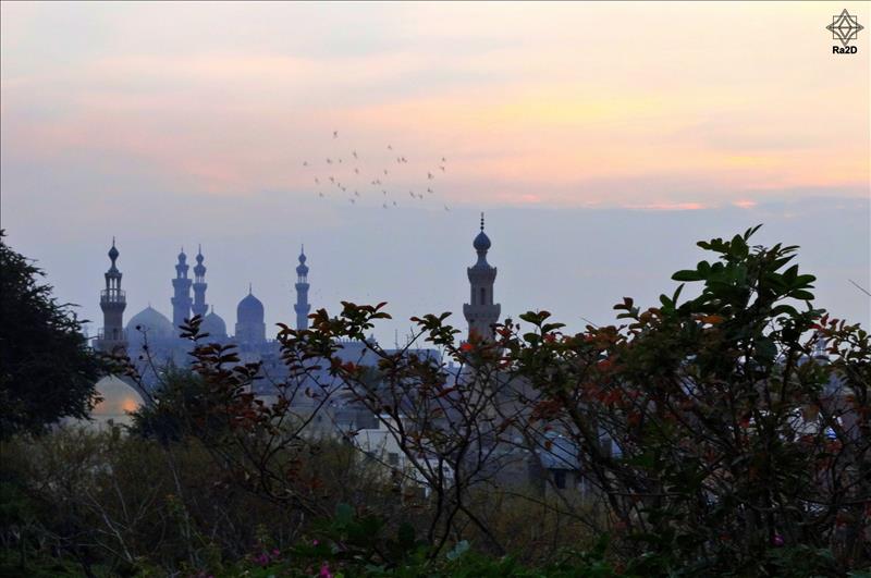 Egypt-Cairo-Al-Azhar-Park-Mosque-of-Sultan-Hasan-Ra2D - Exclusive Wallpapers Page 3 of 16
Left click to see next one.
Right click to see previous one.
Double click to see full sized picture.