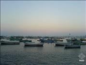 Egypt-Alexandria-Fishing-Boats-Ra2D