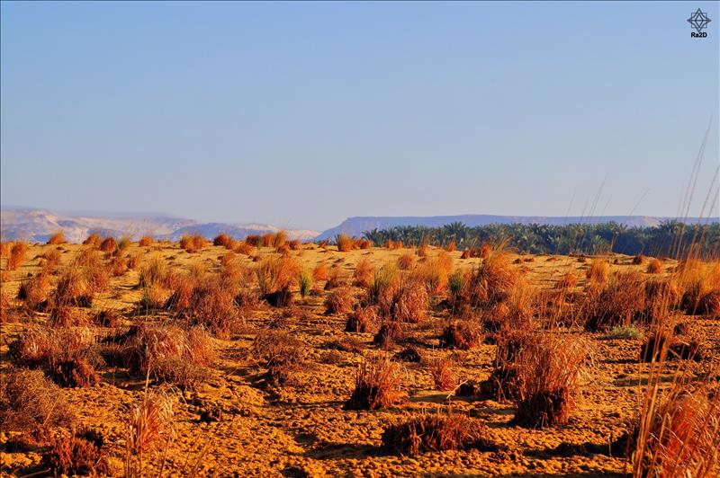 Egypt-Bahariya-Oasis-Moghra-Lake-Ra2D-01 - Exclusive Wallpapers Page 11 of 73
Left click to see next one.
Right click to see previous one.
Double click to see full sized picture.