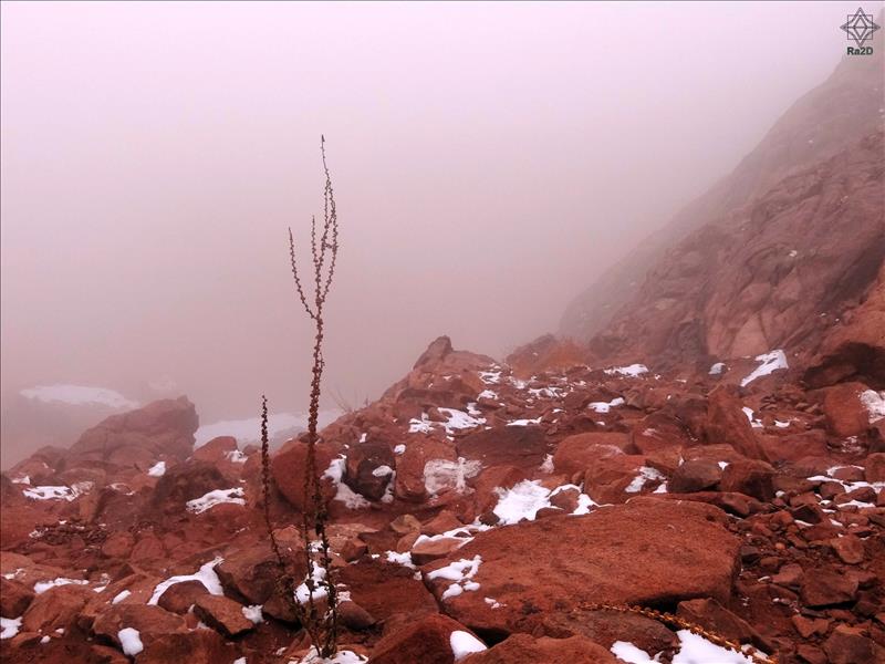 Egypt-Sinai-Saint-Catherine-Mountain-Snow-Ra2D-01 - Exclusive Wallpapers Page 51 of 73
Left click to see next one.
Right click to see previous one.
Double click to see full sized picture.