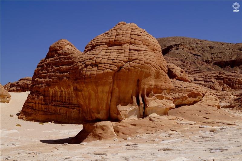 Egypt-Sinai-Taba-Canyon-Ra2D-01 - Exclusive Wallpapers Page 54 of 73
Left click to see next one.
Right click to see previous one.
Double click to see full sized picture.