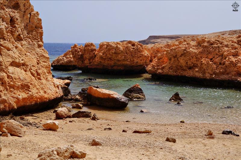 Egypt-South-Sinai-Sharm-El-Sheikh-Ras-Mohammad-Coral-Reef-Ra2D-02 - Exclusive Wallpapers Page 69 of 73
Left click to see next one.
Right click to see previous one.
Double click to see full sized picture.