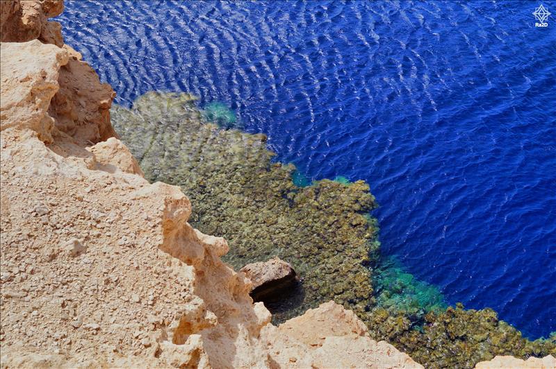 Egypt-South-Sinai-Sharm-El-Sheikh-Ras-Mohammad-Coral-Reef-Ra2D-03 - Exclusive Wallpapers Page 70 of 73
Left click to see next one.
Right click to see previous one.
Double click to see full sized picture.