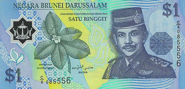 1 brunei dollar