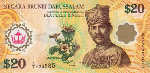 20 brunei dollar