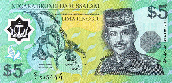 5 brunei dollar