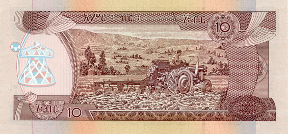 10 ethiopian bir