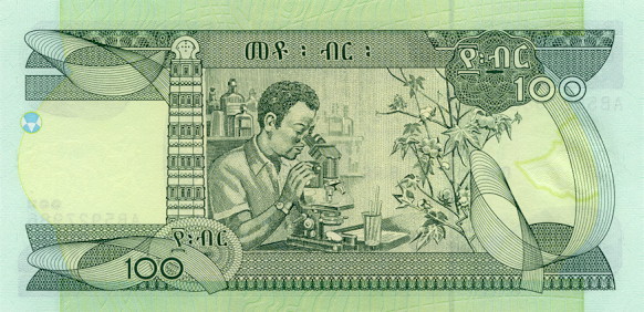 100 ethiopian bir