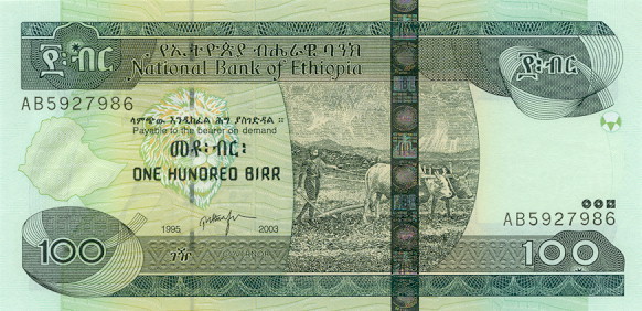 100 ethiopian bir