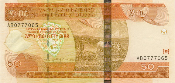 50 ethiopian bir