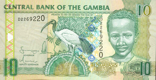 10 gambian dalasis