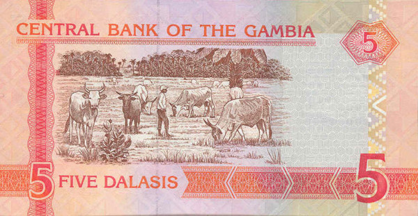 5 gambian dalasis