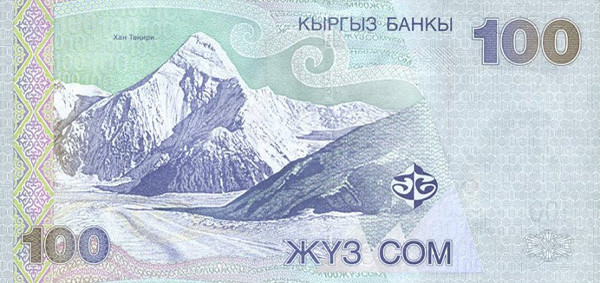 100 kyrgyzstani som