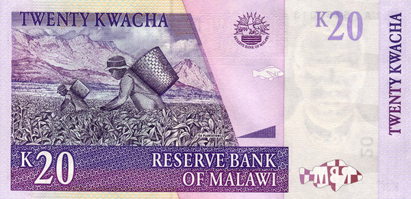 20 malawian kwachas