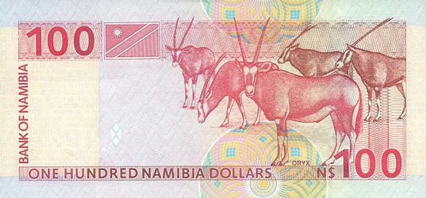 100 namibian dollars