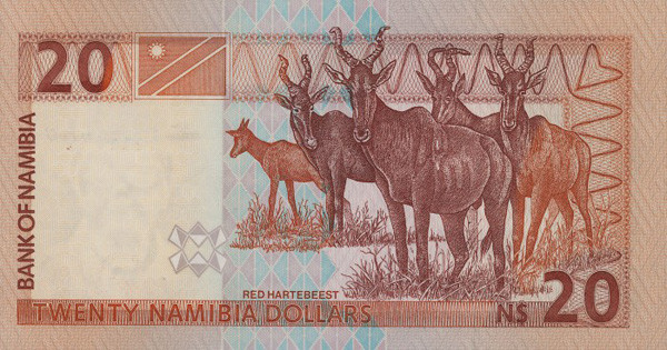 20 namibian dollars