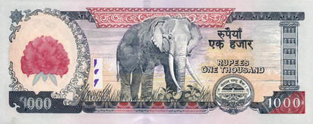 1000 nepalese rupees