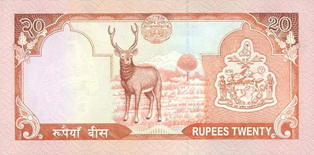 20 nepalese rupees