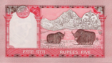 5 nepalese rupees