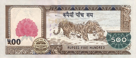 500 nepalese rupees