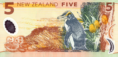 5 new zealand dollars