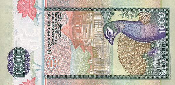 1000 sri lankan rupees