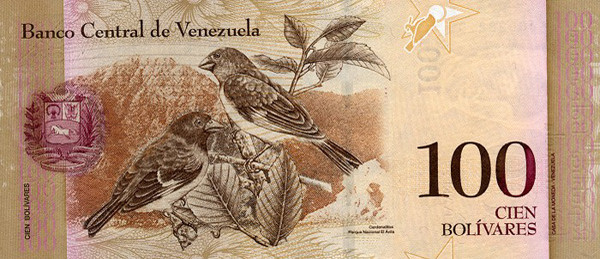 100 venezuelan bolivar fuerte