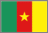 Flag of Cameroon